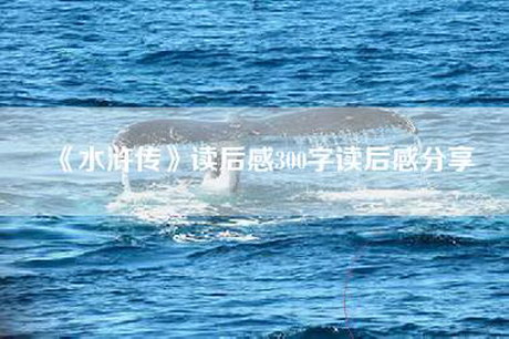 《水浒传》读后感300字读后感分享