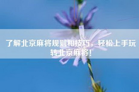 了解北京麻将规则和技巧，轻松上手玩转北京麻将！