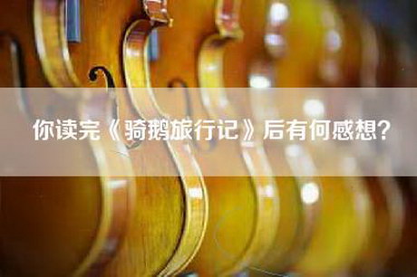 你读完《骑鹅旅行记》后有何感想？