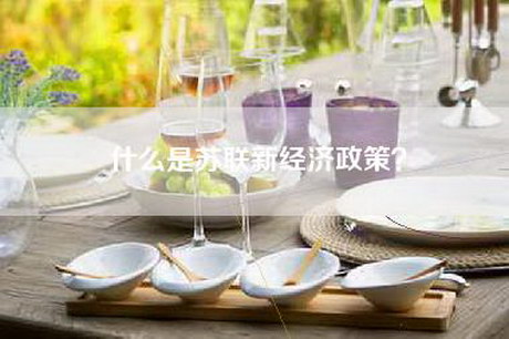 什么是苏联新经济政策？