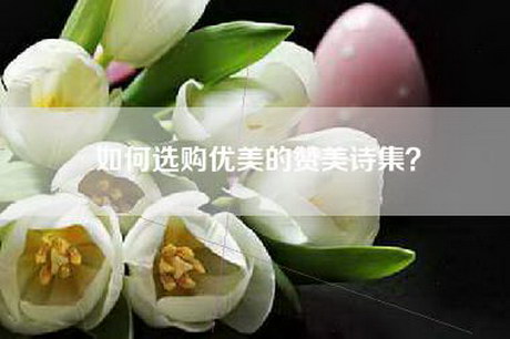 如何选购优美的赞美诗集？