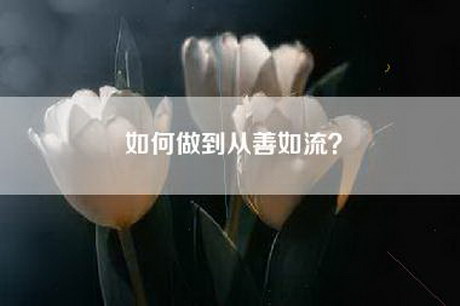 如何做到从善如流？