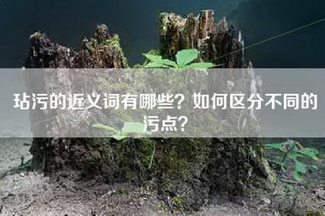玷污的近义词有哪些？如何区分不同的污点？