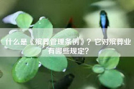 什么是《殡葬管理条例》？它对殡葬业有哪些规定？