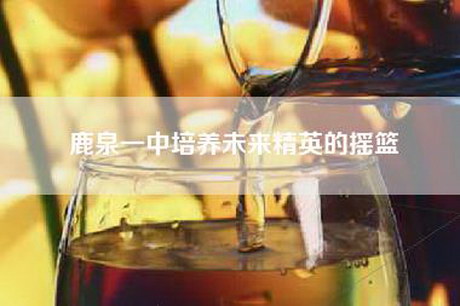 鹿泉一中培养未来精英的摇篮