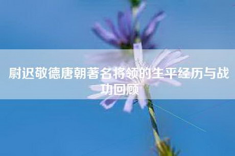 尉迟敬德唐朝著名将领的生平经历与战功回顾 尉迟敬德唐朝著名将领的生平经历与战功回顾