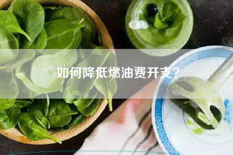 如何降低燃油费开支? 如何降低燃油费开支?