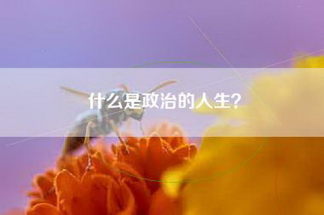 什么是政治的人生？