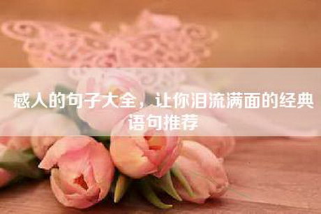 感人的句子大全，让你泪流满面的经典语句推荐