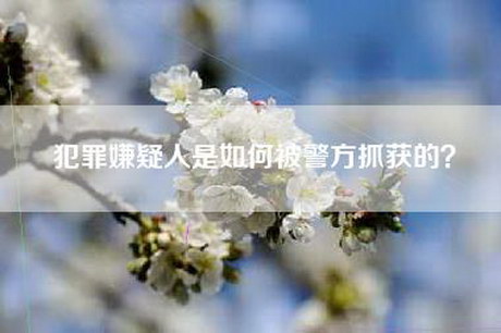 犯罪嫌疑人是如何被警方抓获的？