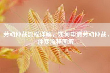 劳动仲裁流程详解，如何申请劳动仲裁，仲裁流程图解