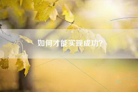 如何才能实现成功？