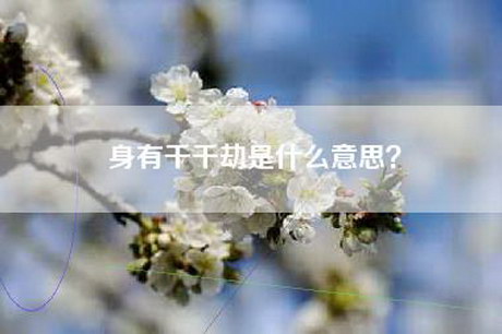 身有千千劫是什么意思？