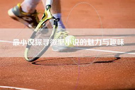 最小说探寻微型小说的魅力与趣味