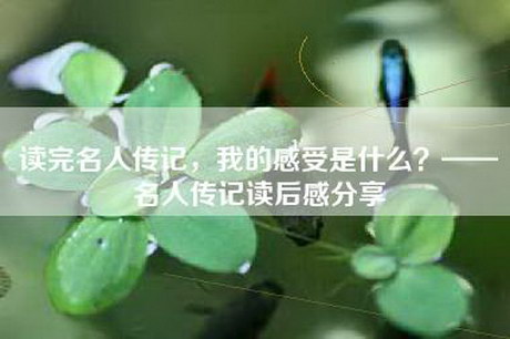 读完名人传记，我的感受是什么？——名人传记读后感分享