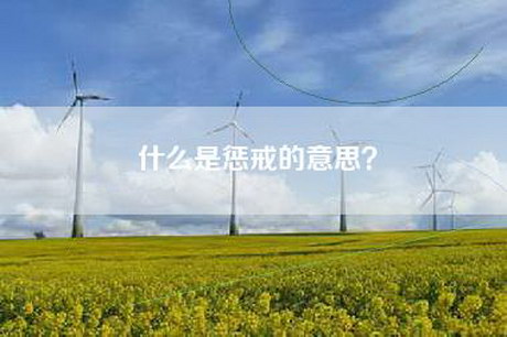 什么是惩戒的意思？