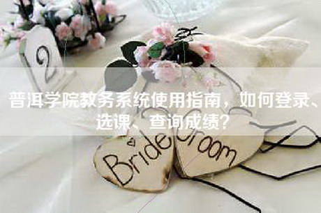 普洱学院教务系统使用指南，如何登录、选课、查询成绩？