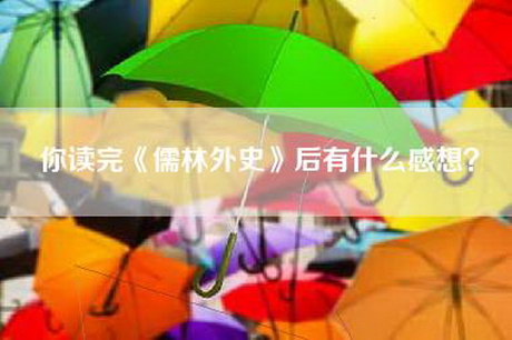 你读完《儒林外史》后有什么感想？