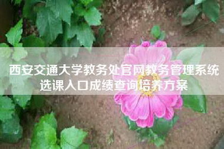 西安交通大学教务处官网教务管理系统选课入口成绩查询培养方案 西安交通大学教务处官网教务管理系统选课入口成绩查询培养方案