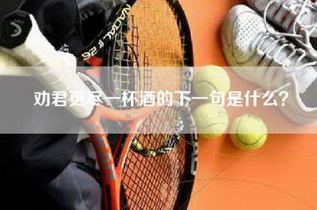 劝君更尽一杯酒的下一句是什么? 劝君更尽一杯酒的下一句是什么?