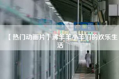 【热门动画片】沸羊羊小羊们的欢乐生活