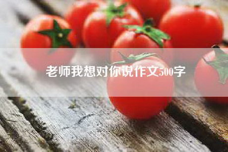 老师我想对你说作文500字