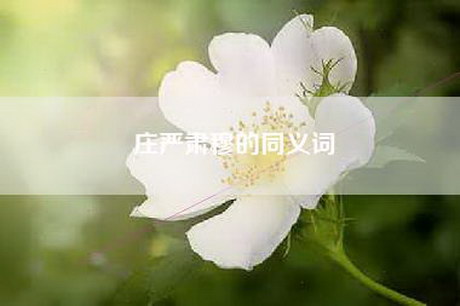 庄严肃穆的同义词