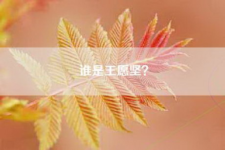 谁是王愿坚？