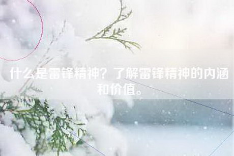 什么是雷锋精神？了解雷锋精神的内涵和价值。