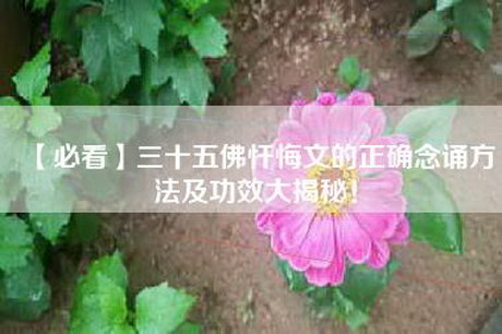 【必看】三十五佛忏悔文的正确念诵方法及功效大揭秘！