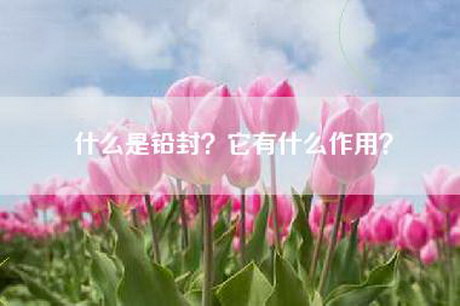 什么是铅封？它有什么作用？