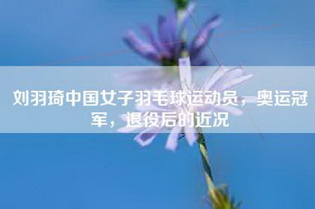 刘羽琦中国女子羽毛球运动员，奥运冠军，退役后的近况