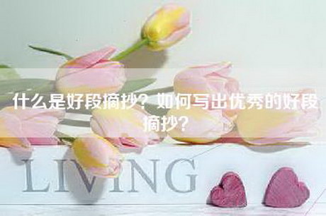 什么是好段摘抄？如何写出优秀的好段摘抄？