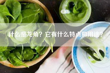 什么是龙角？它有什么特点和用途？