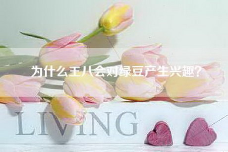 为什么王八会对绿豆产生兴趣？