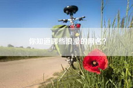你知道哪些浪漫的网名？