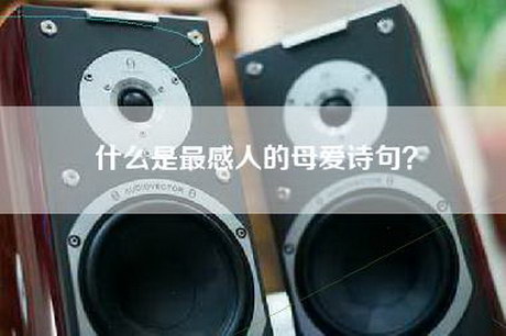 什么是最感人的母爱诗句？