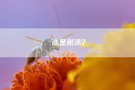 谁是谢添？