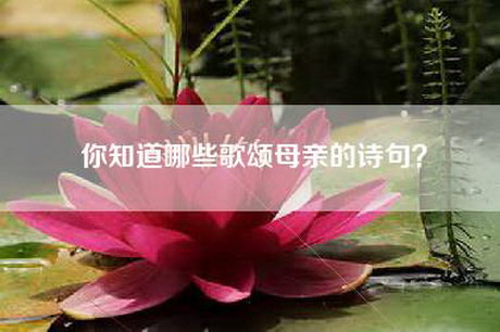 你知道哪些歌颂母亲的诗句？