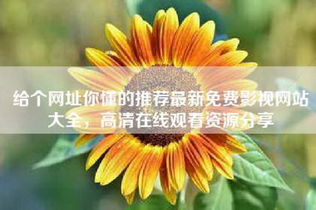 给个网址你懂的推荐最新免费影视网站大全，高清在线观看资源分享