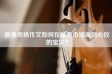 跳蚤市场作文如何在跳蚤市场淘到心仪的宝贝？