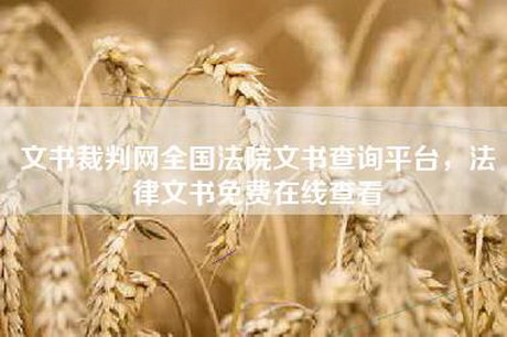 文书裁判网全国法院文书查询平台，法律文书免费在线查看