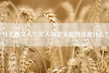 什么是文人？文人的定义和特点是什么？