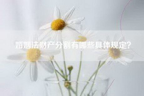 婚姻法财产分割有哪些具体规定？