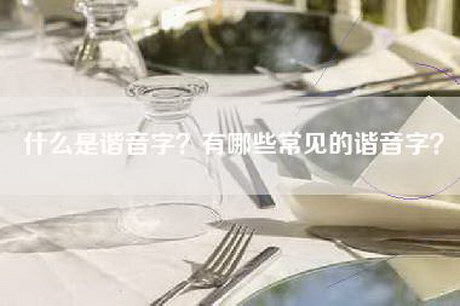 什么是谐音字？有哪些常见的谐音字？