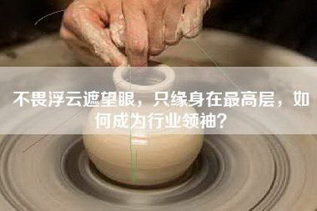 不畏浮云遮望眼，只缘身在最高层，如何成为行业领袖？