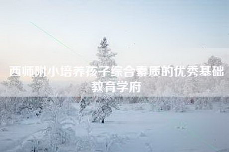 西师附小培养孩子综合素质的优秀基础教育学府