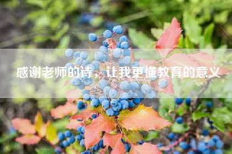 感谢老师的诗，让我更懂教育的意义
