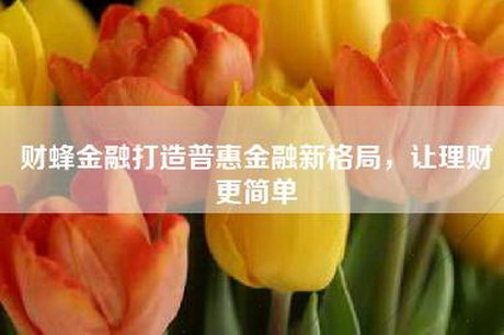 财蜂金融打造普惠金融新格局，让理财更简单