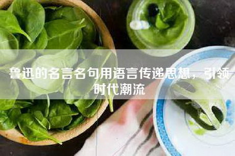 鲁迅的名言名句用语言传递思想，引领时代潮流